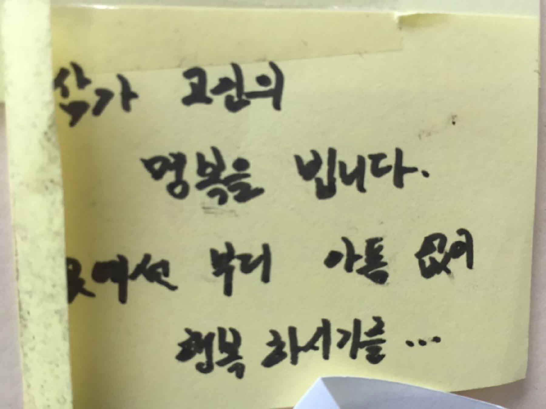 강남역 추모메세지 서울시민청 #4
