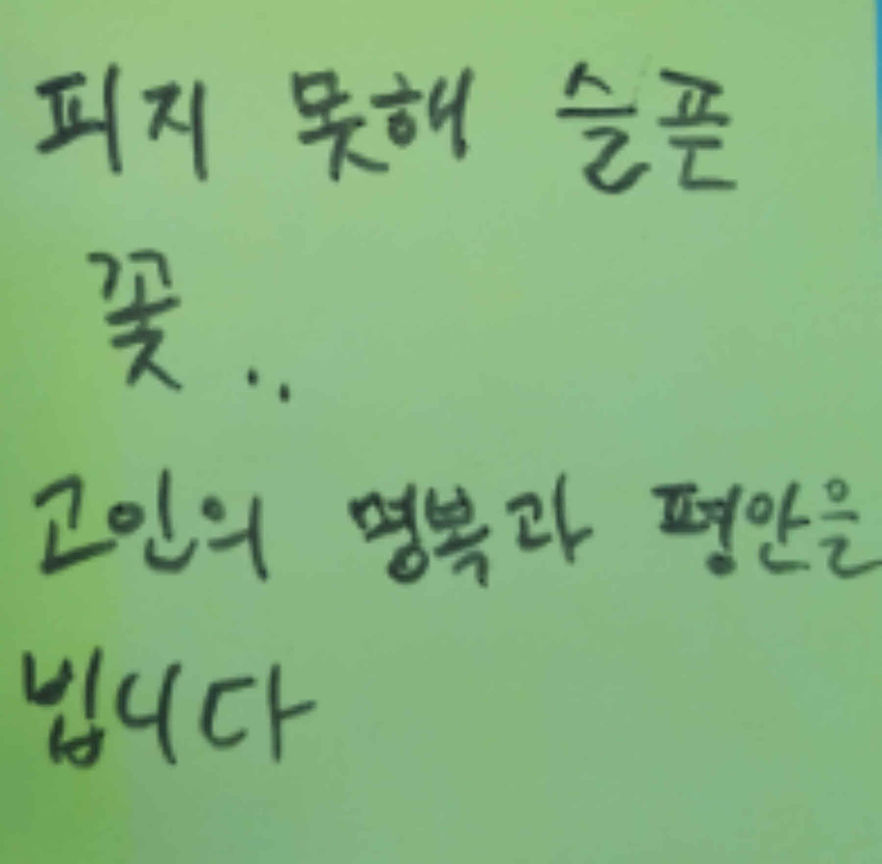 강남역 추모메세지 강남역 #342
