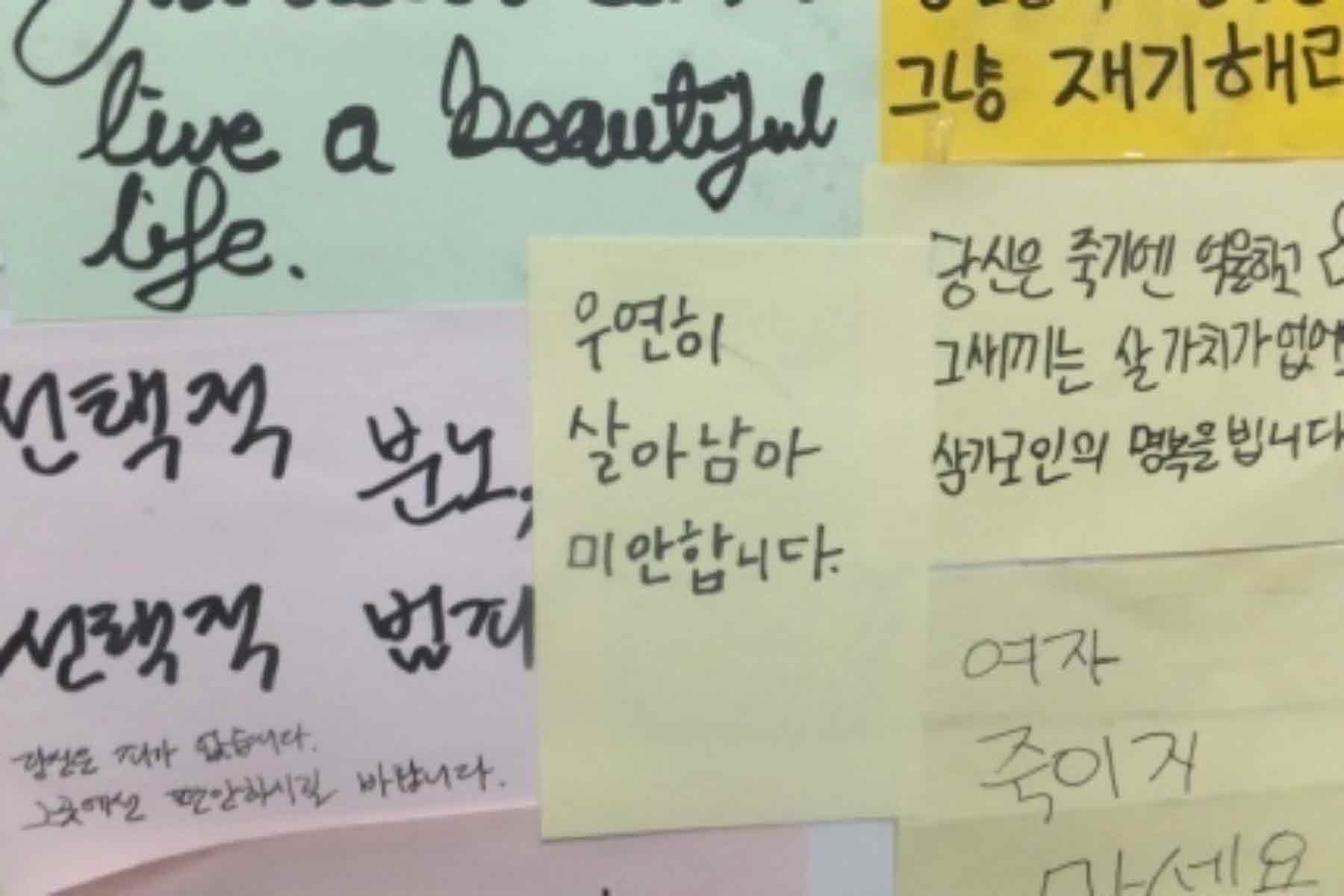 미리보기
