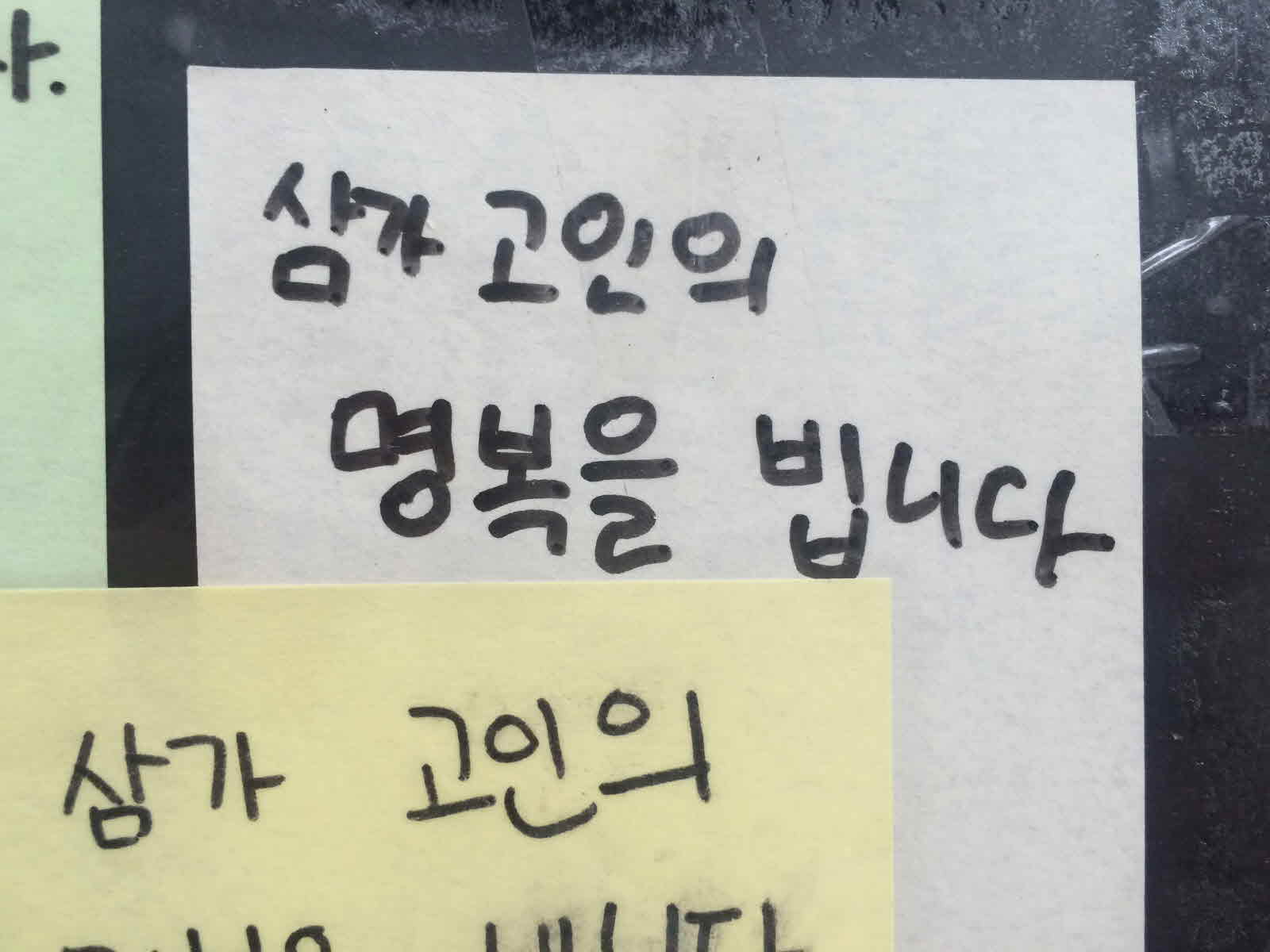 강남역 추모메세지 대전지역 #24