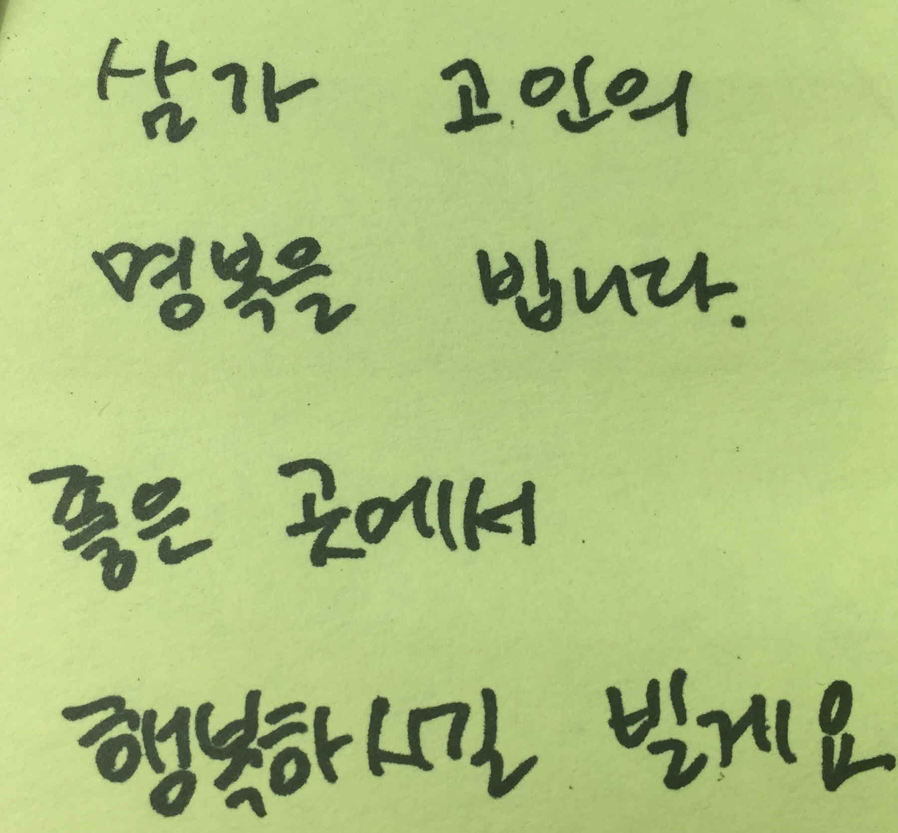 강남역 추모메세지 서울시민청 #9