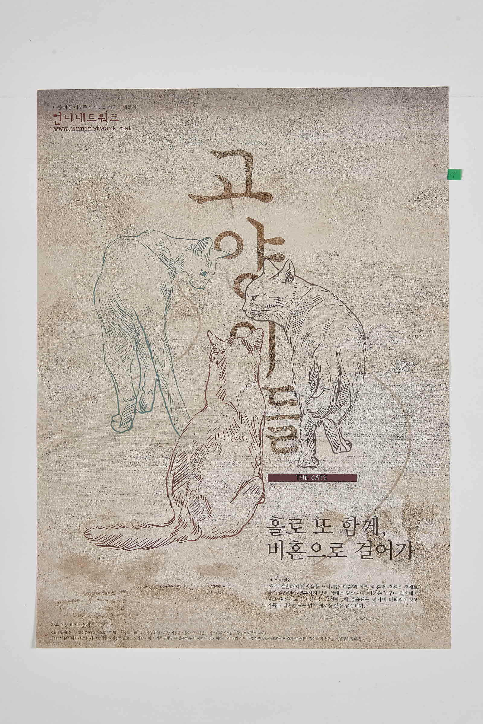 고양이들 THE CATS | 언니네트워크