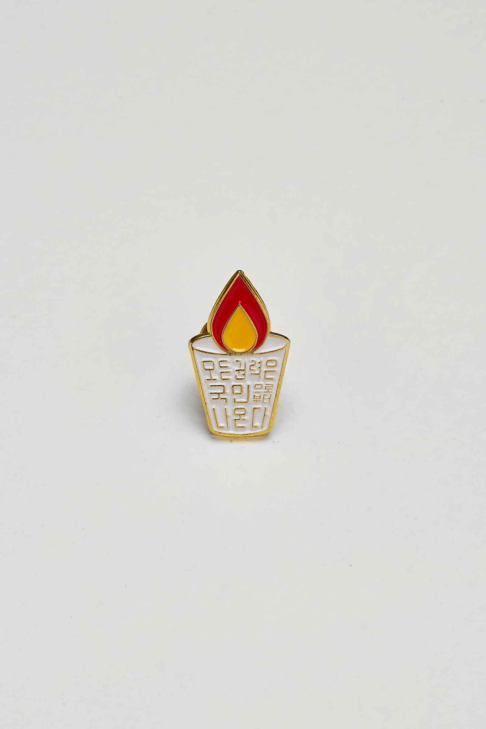 모든권력은국민으로부터나온다 배지