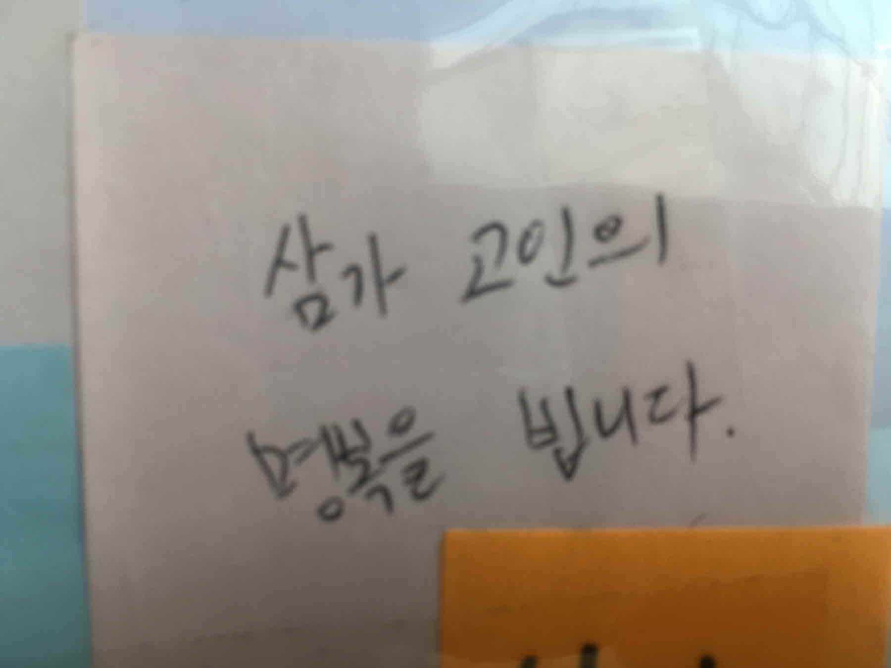 강남역 추모메세지 서울시민청 #336