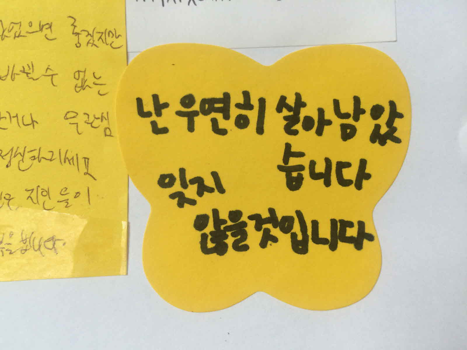강남역 추모메세지 대구지역 #50