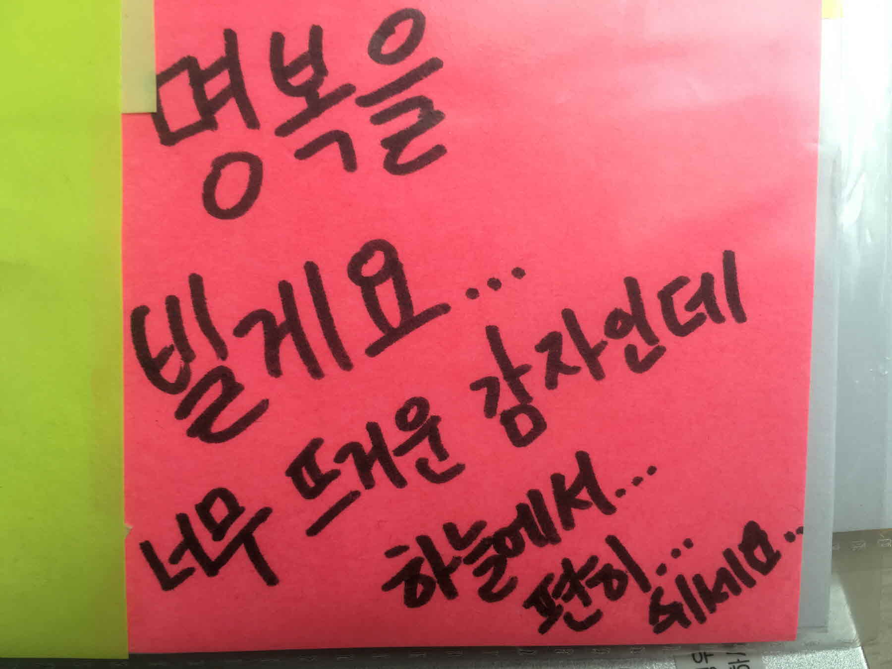 강남역 추모메세지 서울시민청 #314