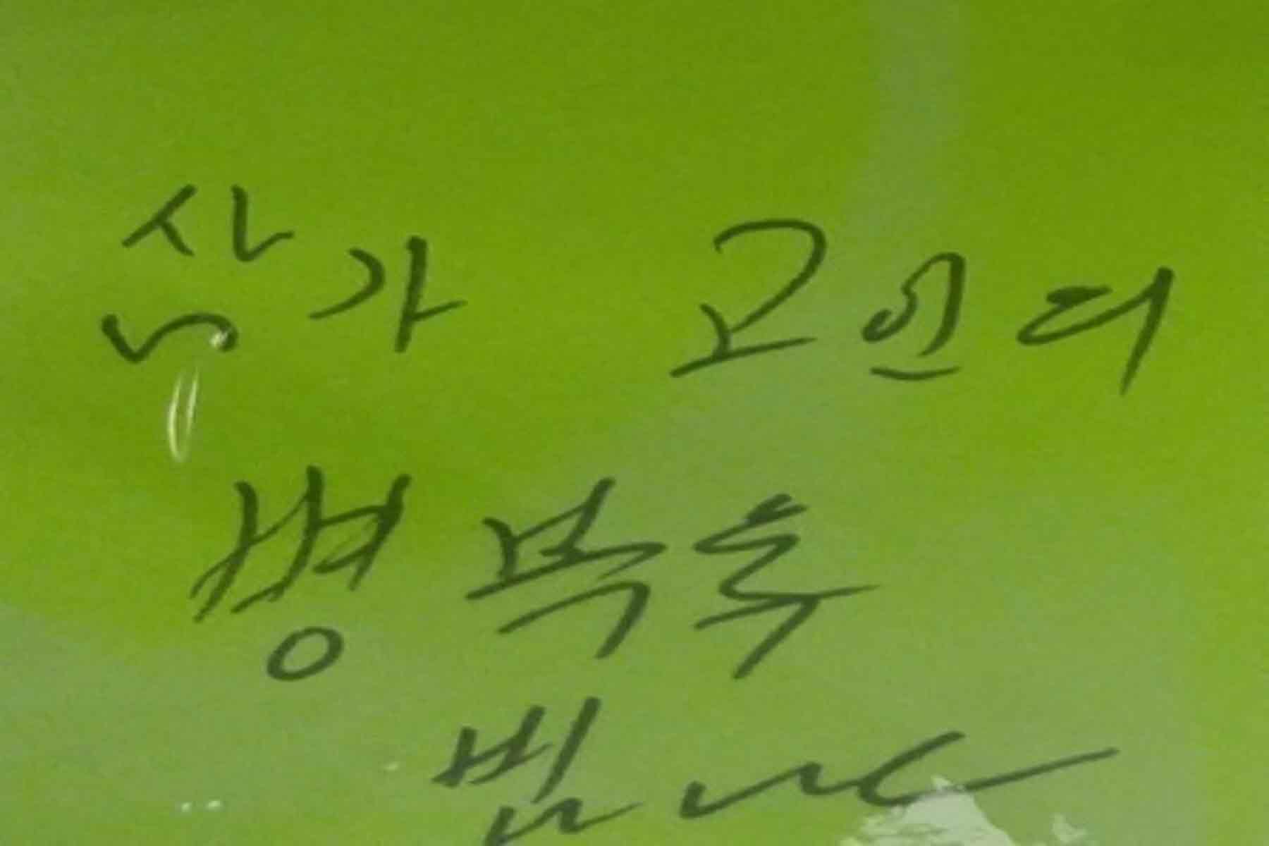 강남역 추모메세지 강남역 #182