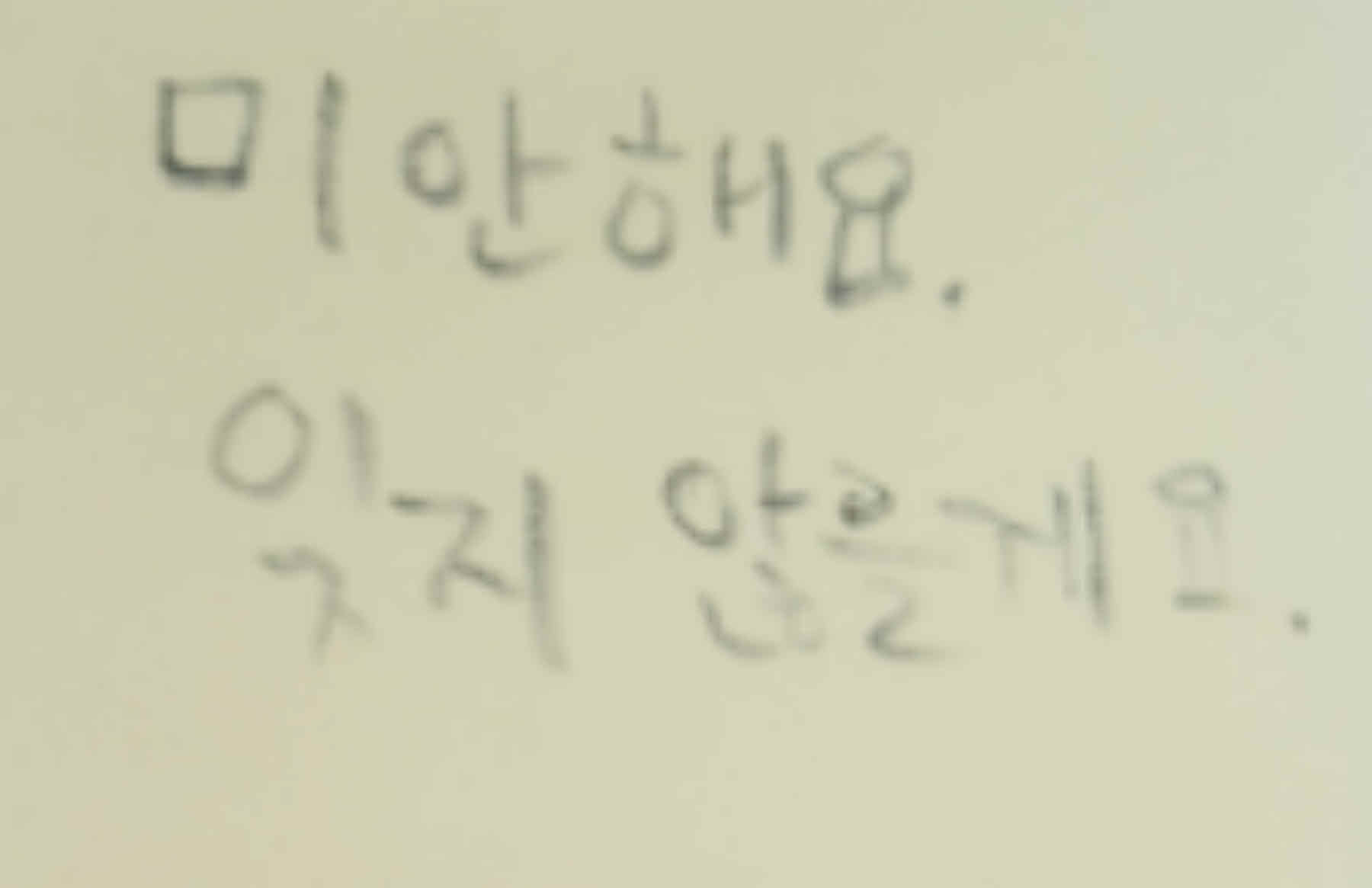 미리보기