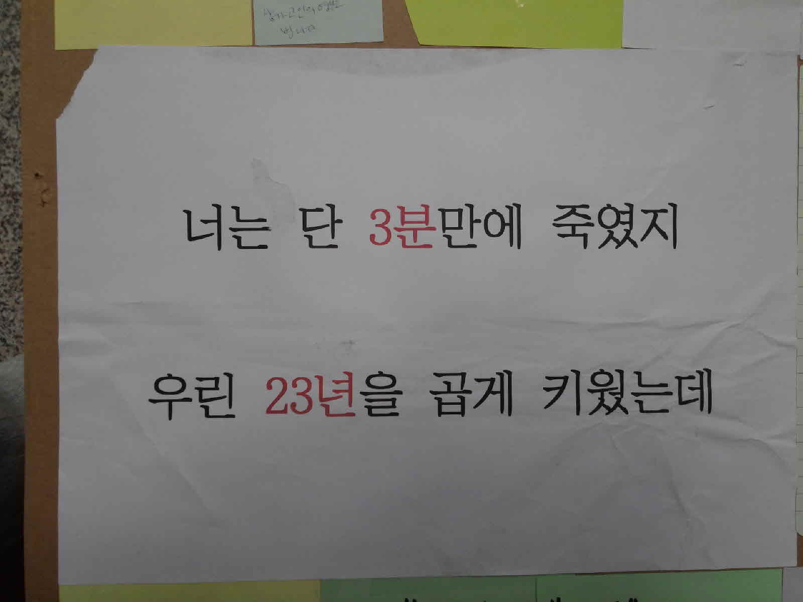 강남역 추모메세지 대구지역 #10