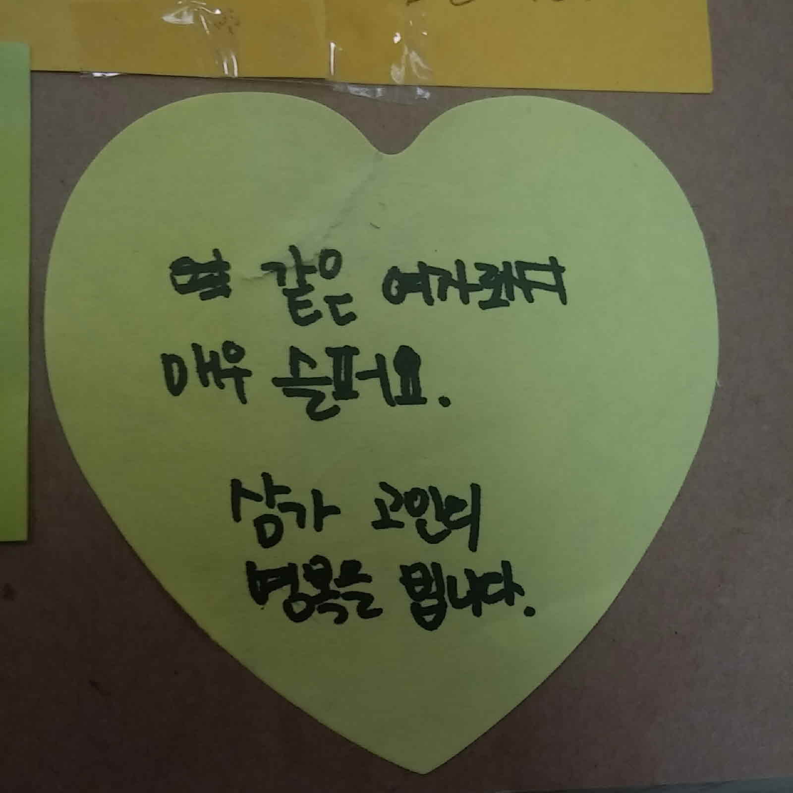 강남역 추모메세지 대구지역 #19