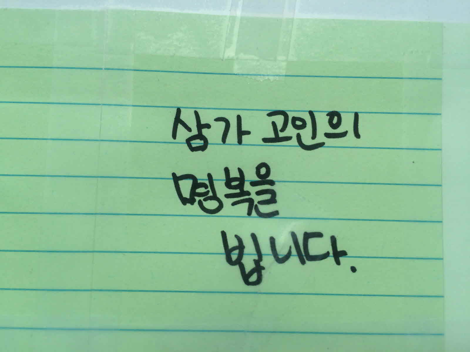미리보기