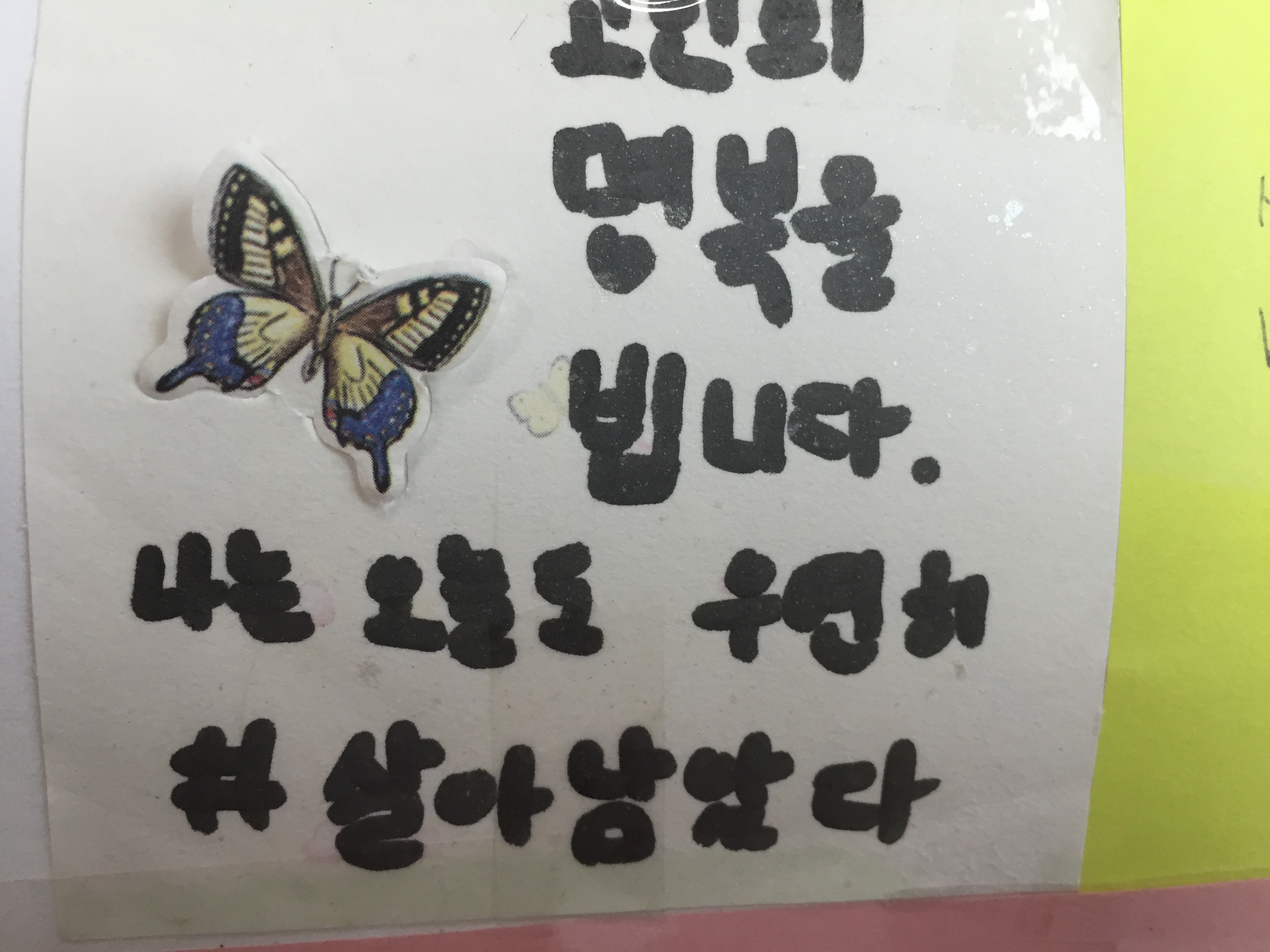 미리보기