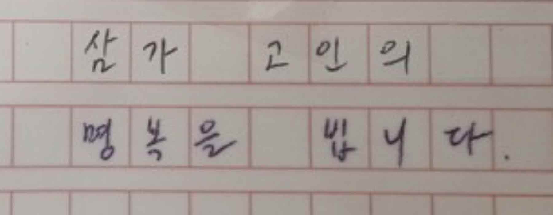 강남역 추모메세지 서울시민청 #245