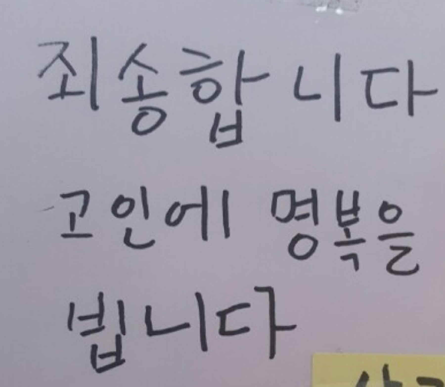강남역 추모메세지 서울시민청 #247