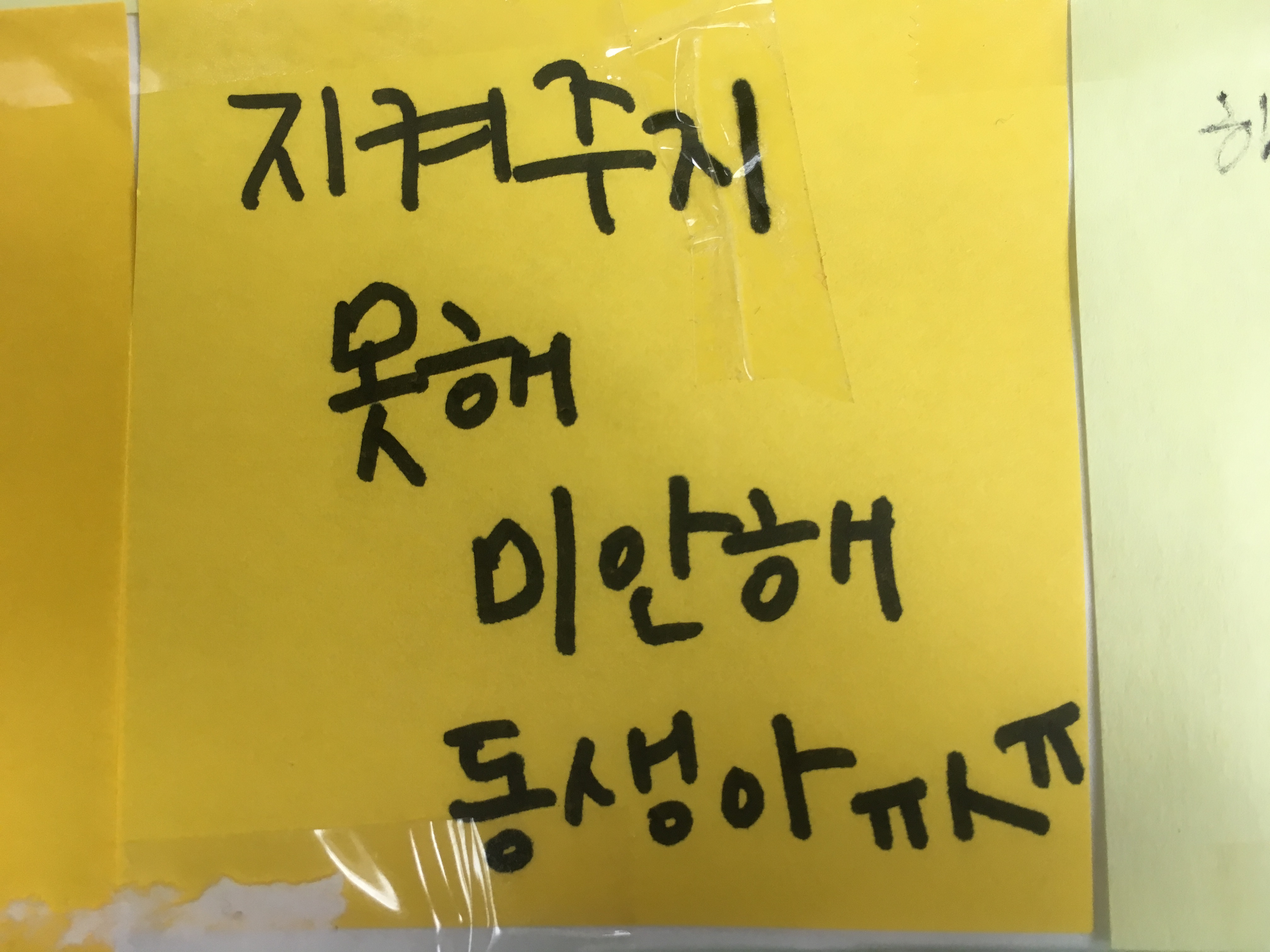 미리보기