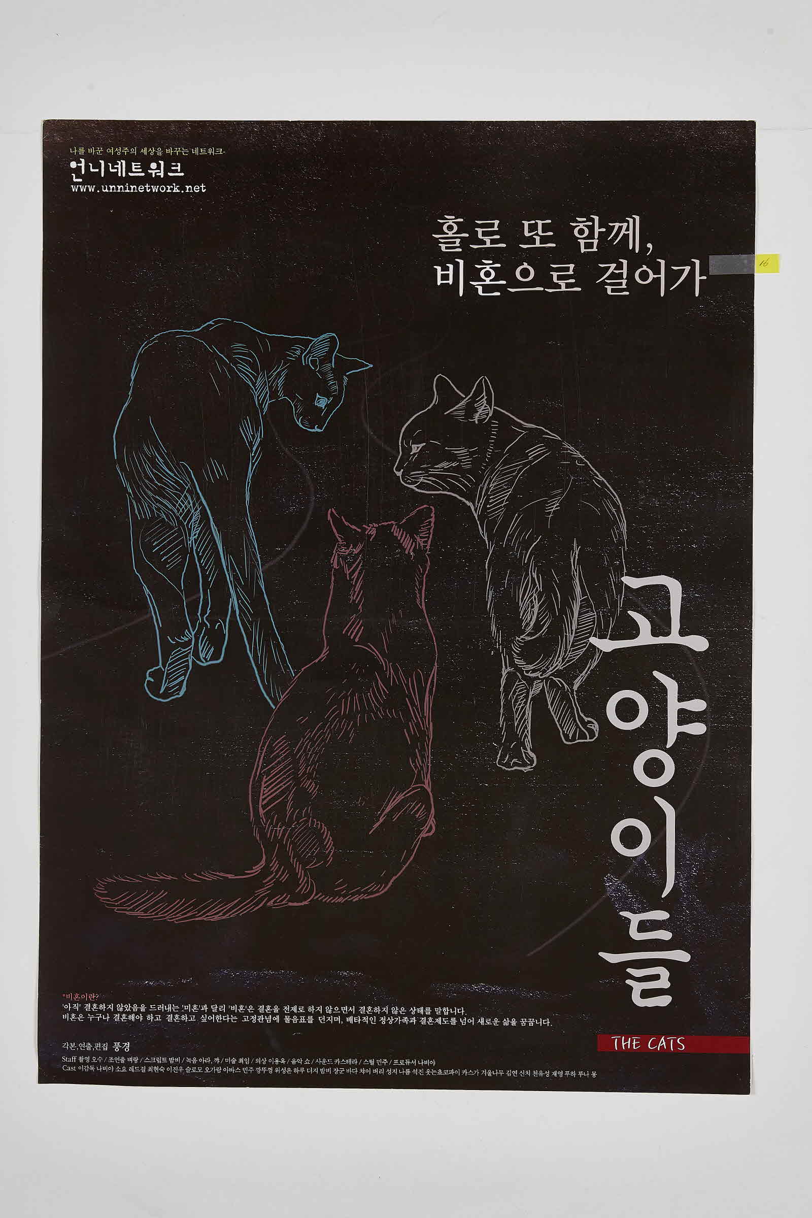 고양이들 THE CATS | 언니네트워크
