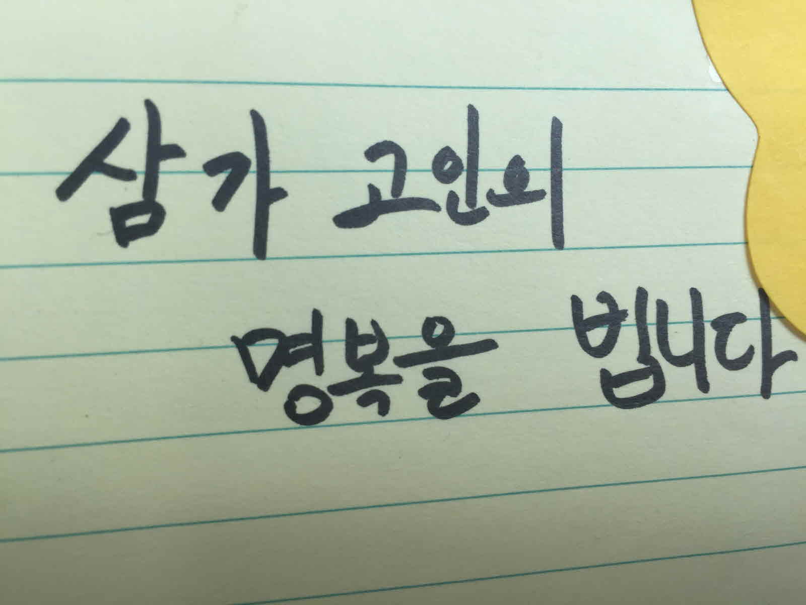 미리보기