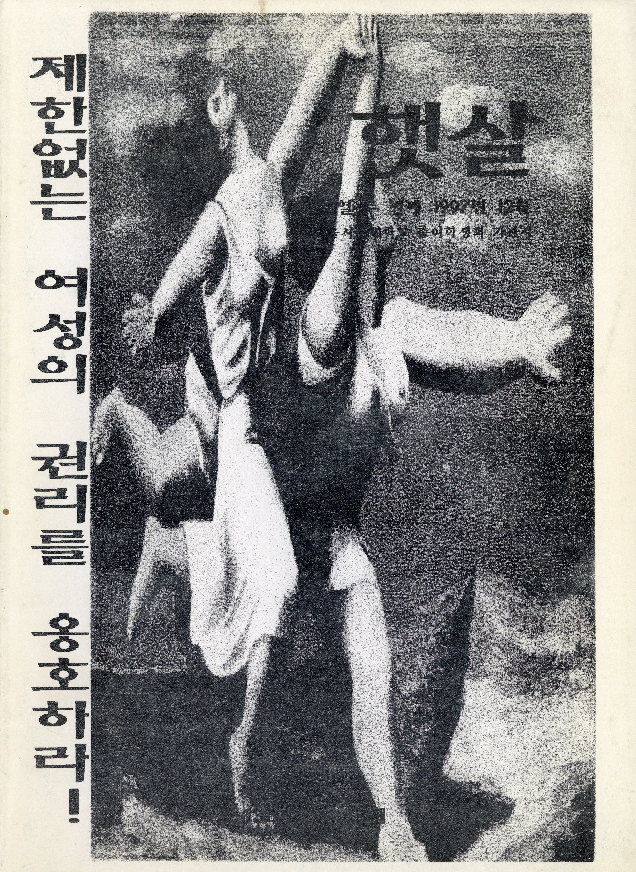 햇살 12