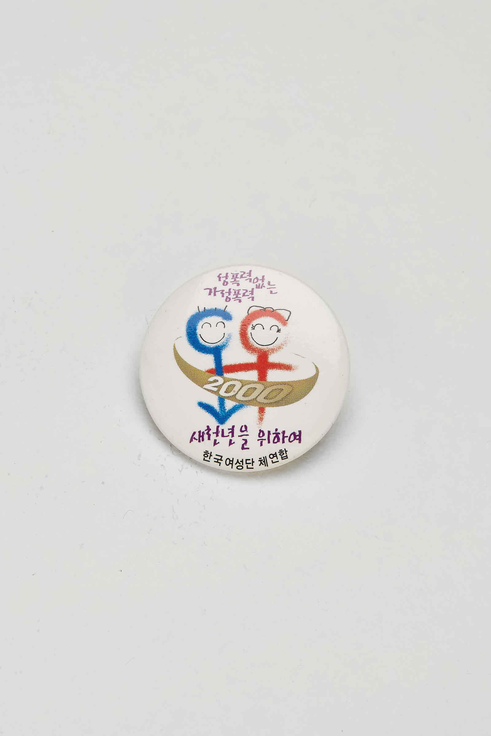 성폭력, 가정폭력 없는 새천년을 위하여 2000 배지