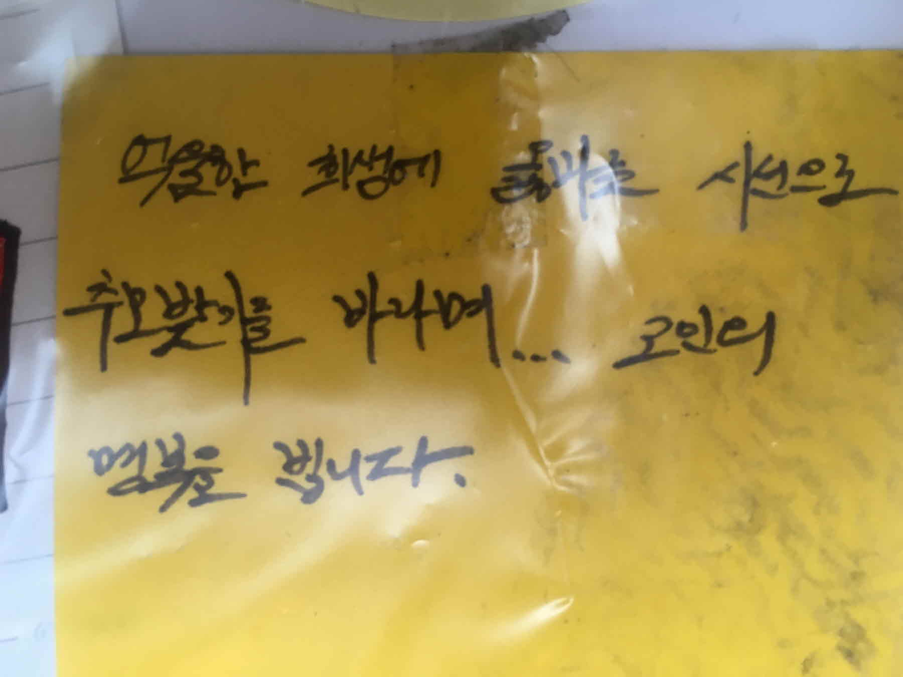 강남역 추모메세지 서울시민청 #437