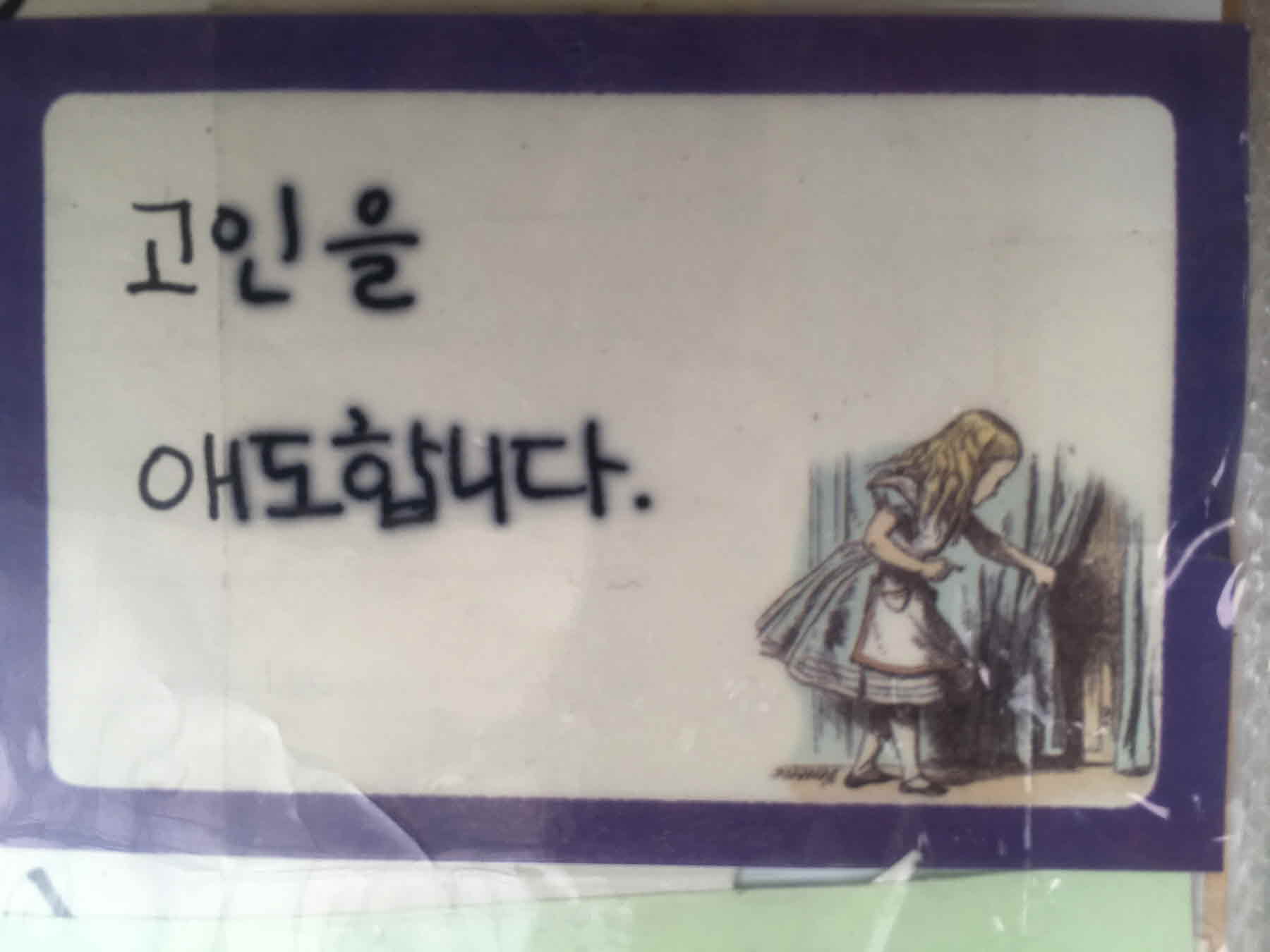 미리보기