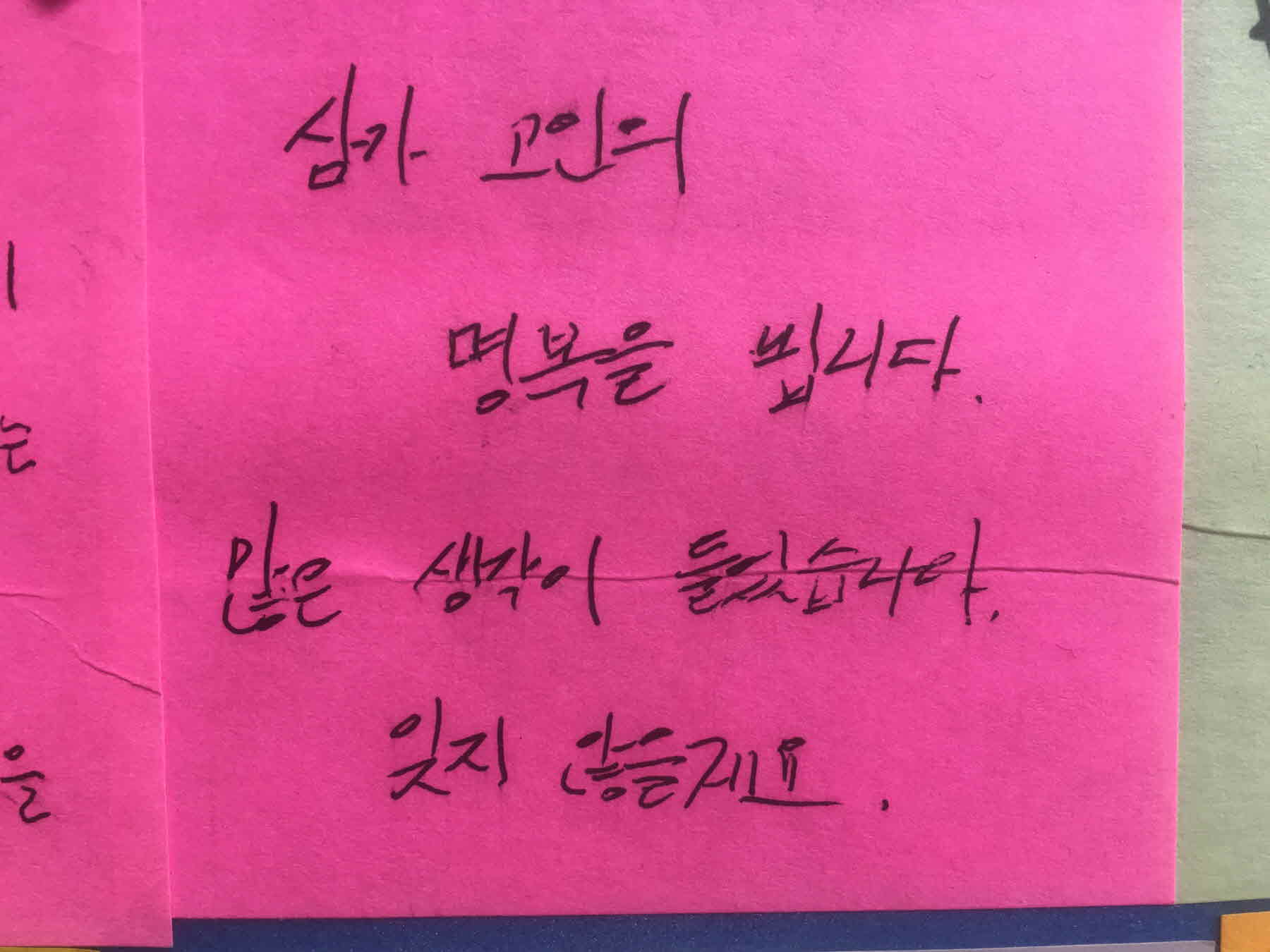 강남역 추모메세지 서울시민청 #59