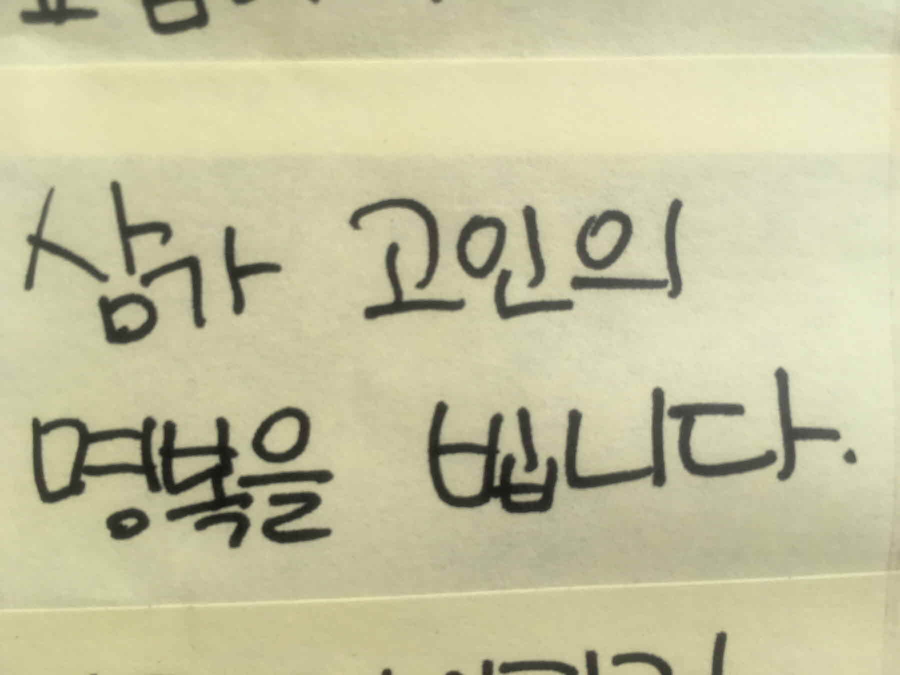 강남역 추모메세지 서울시민청 #56