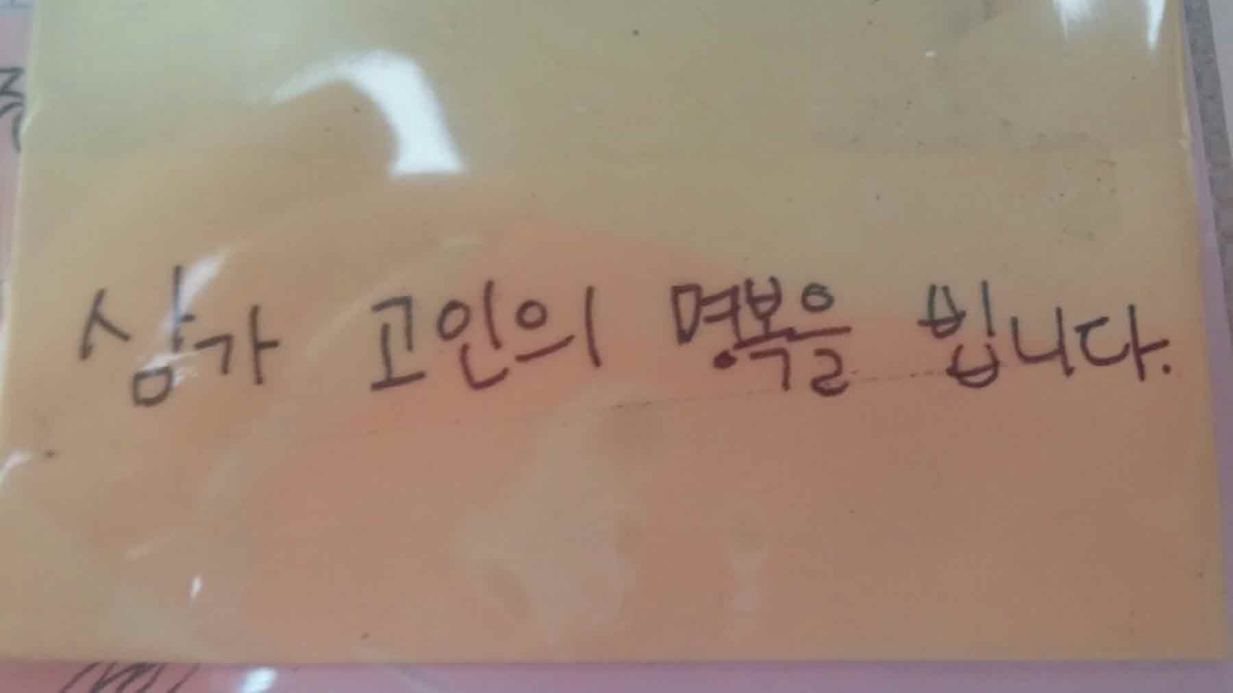 강남역 추모메세지 서울시민청 #504