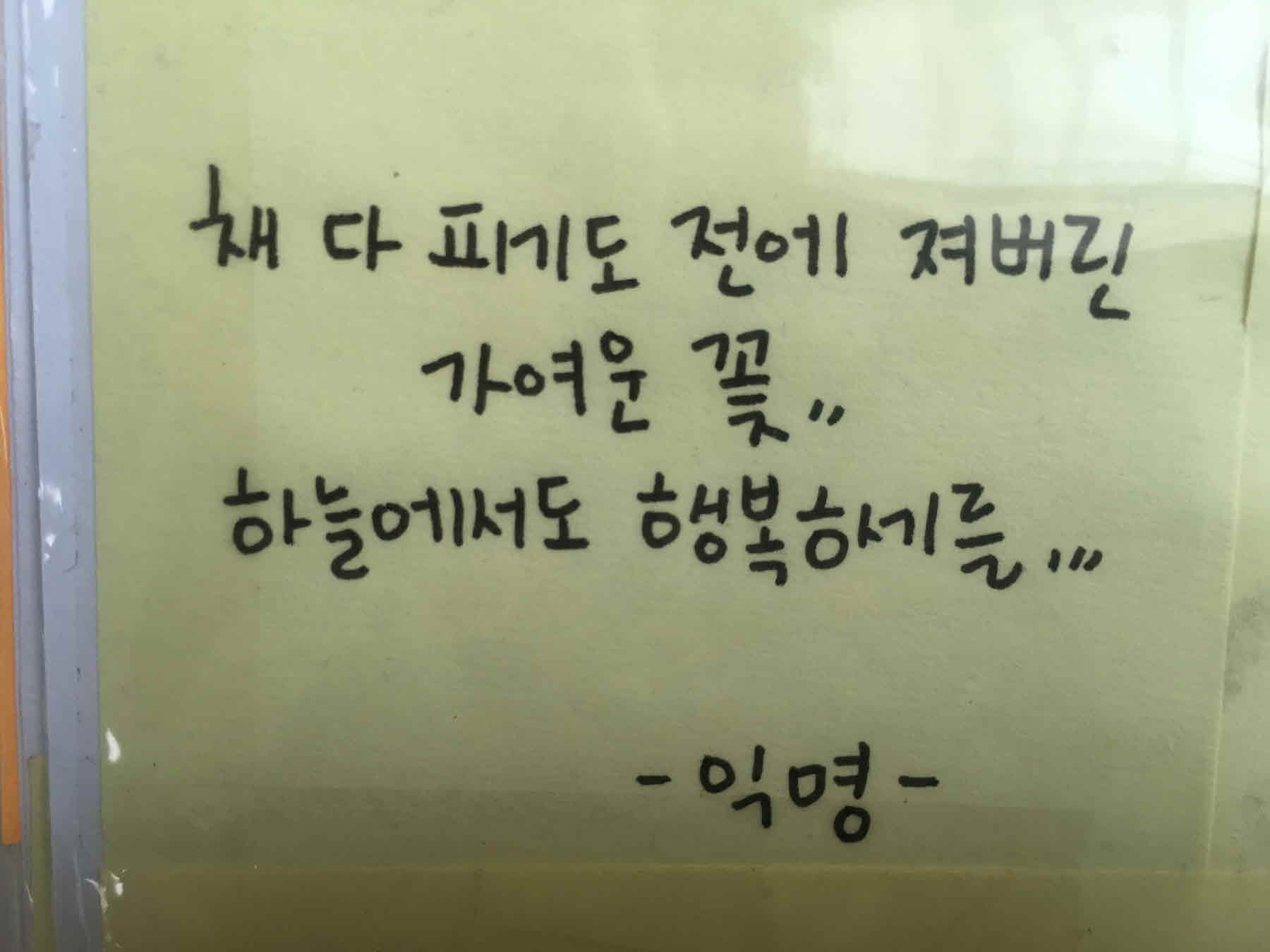미리보기