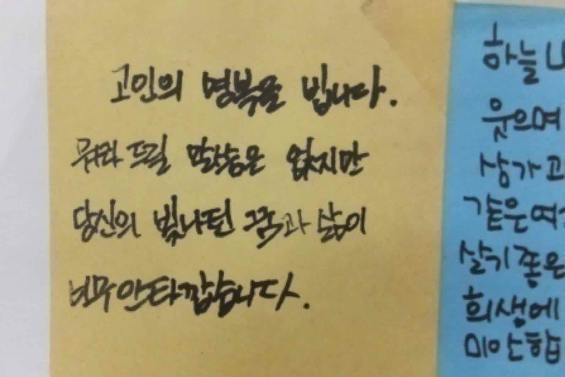 강남역 추모메세지 강남역 #259