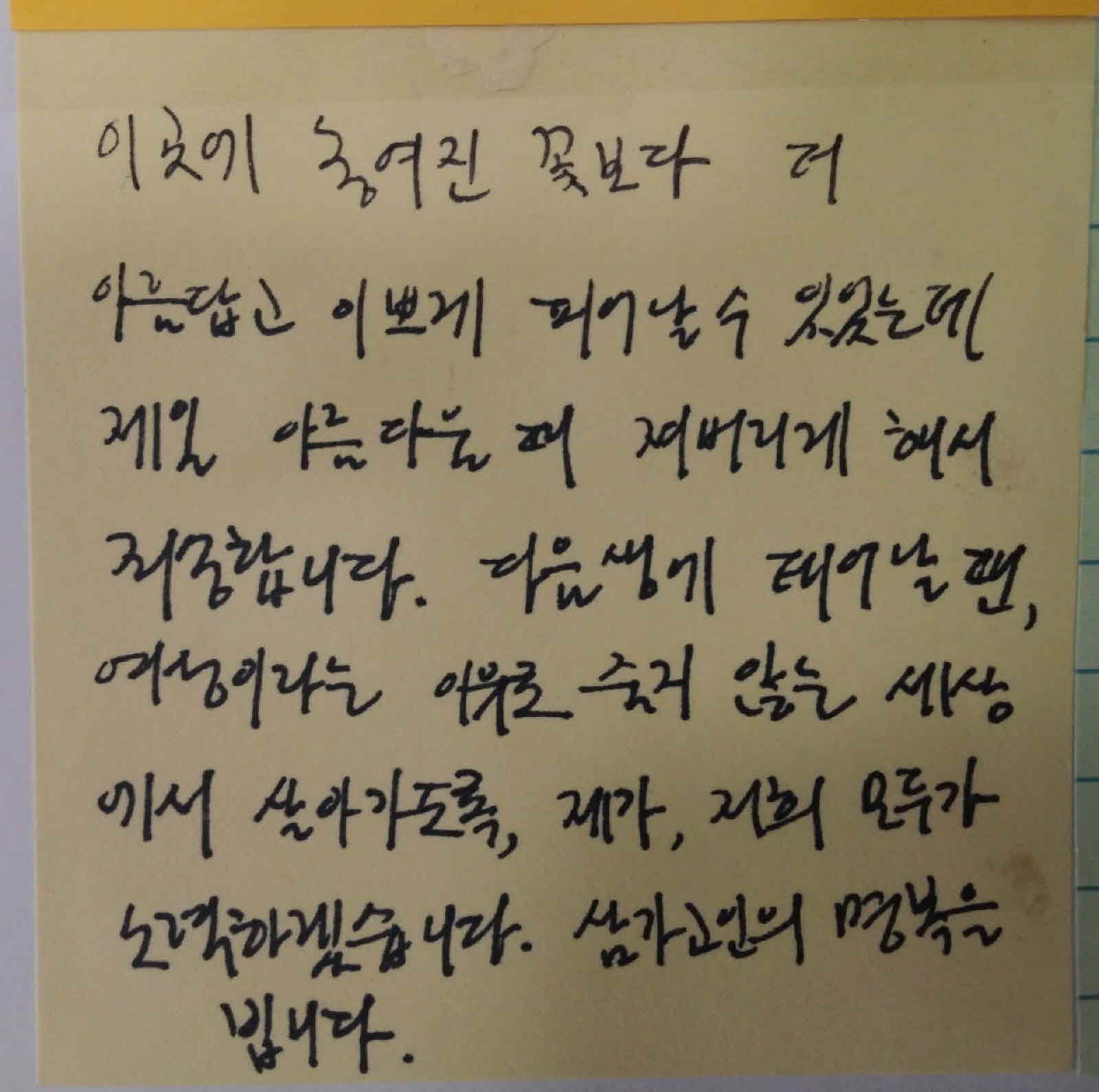 강남역 추모메세지 대구지역 #70