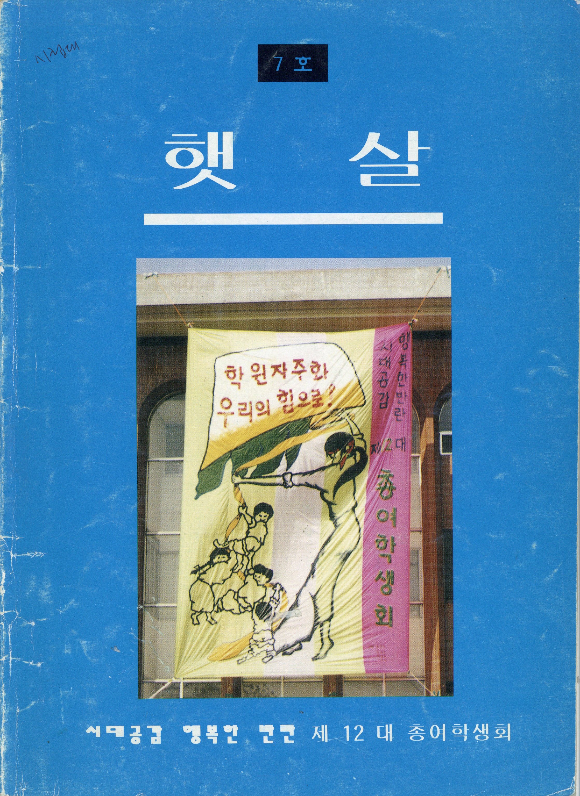 햇살 7