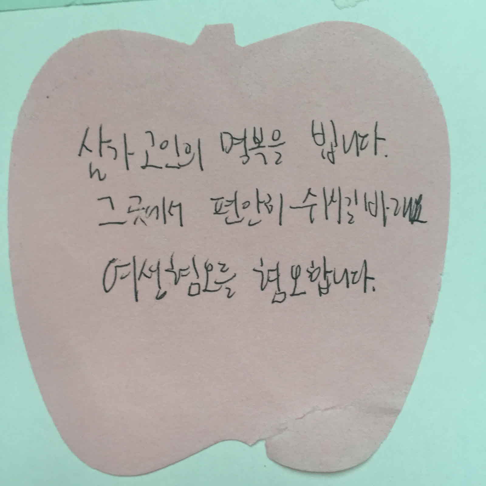 강남역 추모메세지 대구지역 #58