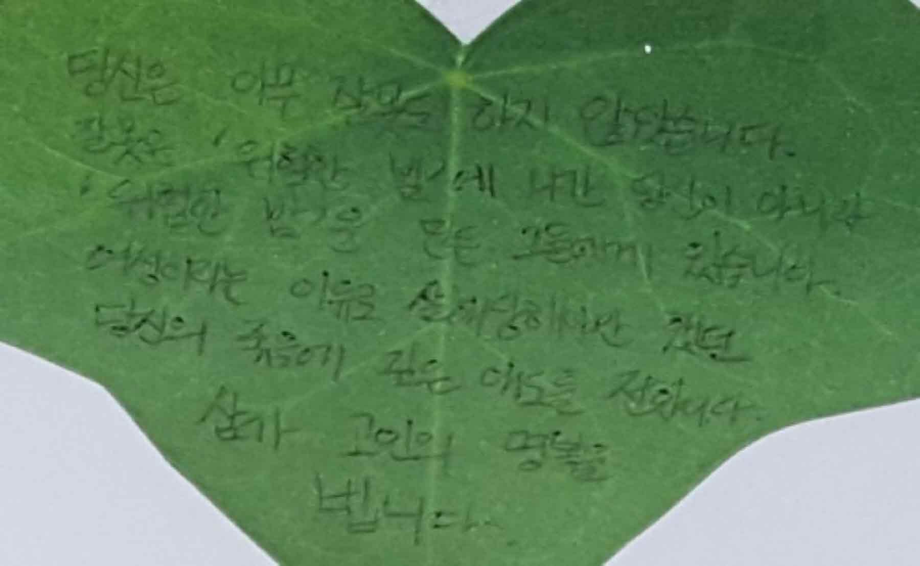 강남역 추모메세지 강남역 #166