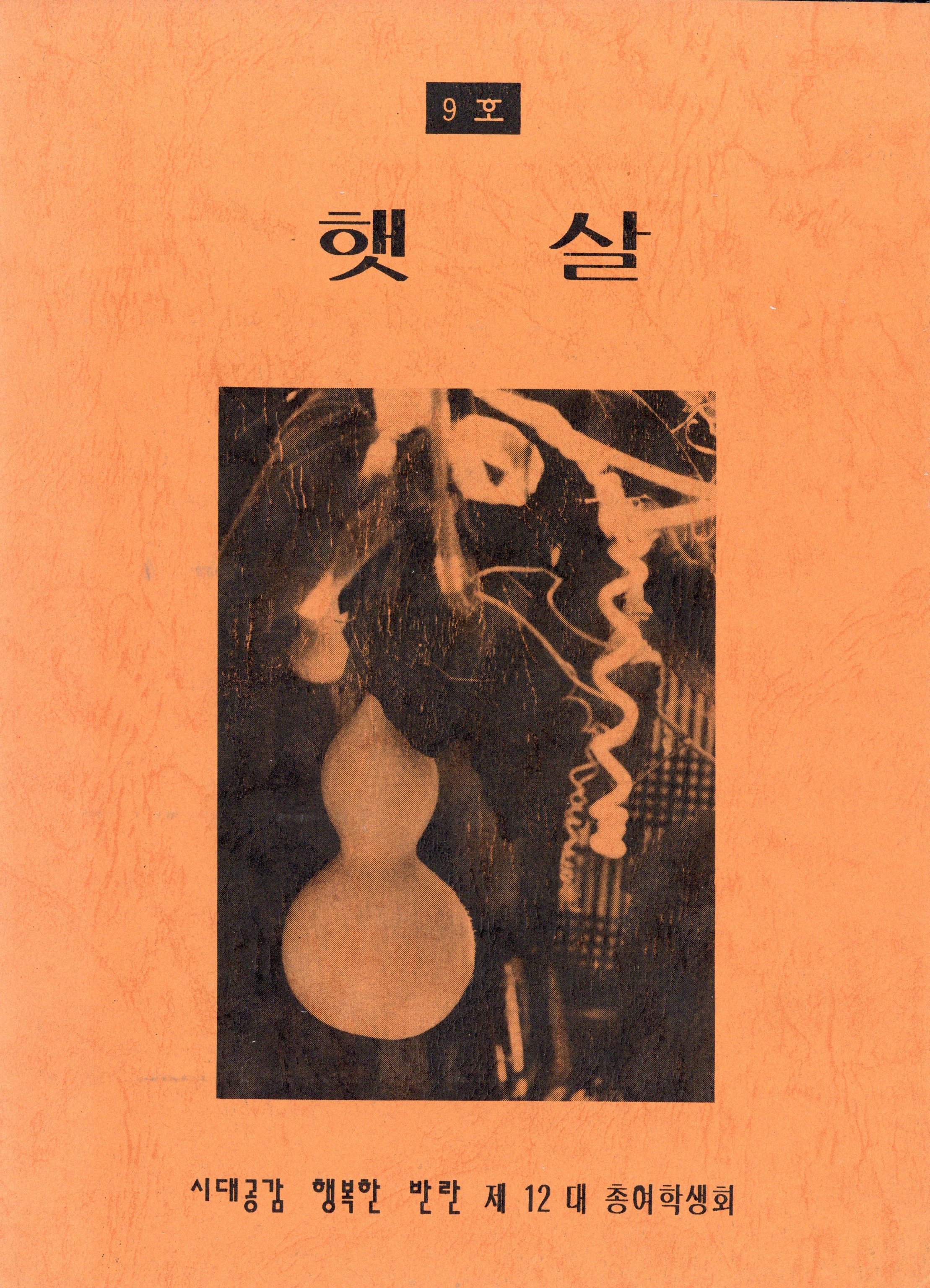 햇살 9