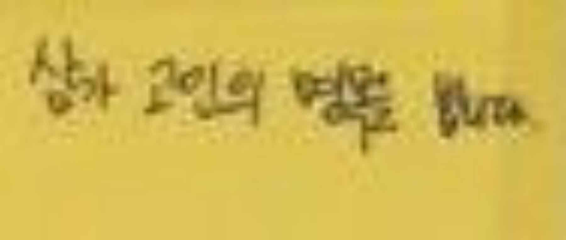 미리보기