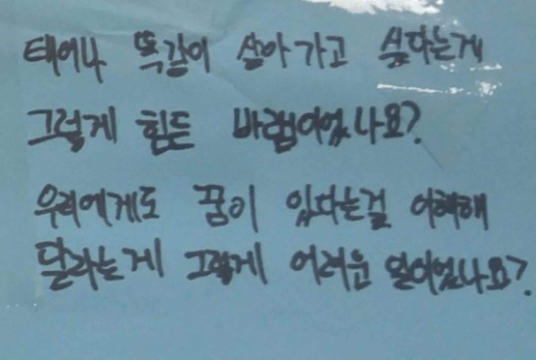 강남역 추모메세지 강남역 #210