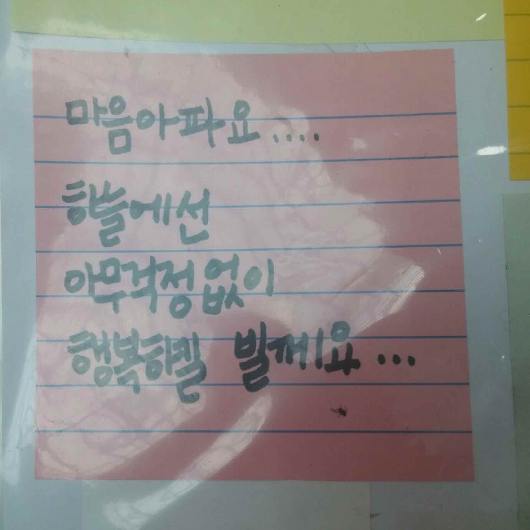 미리보기