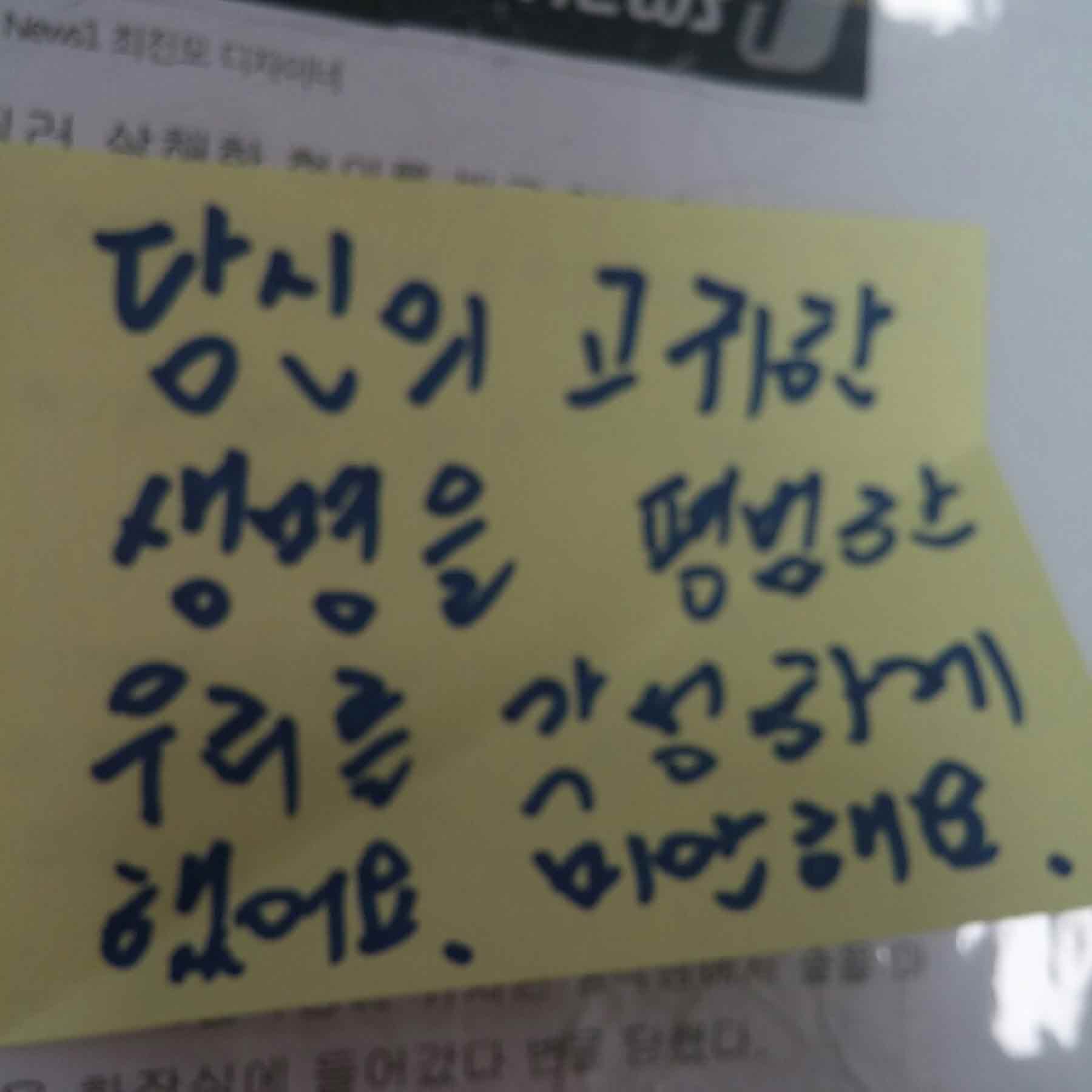 강남역 추모메세지 서울시민청 #519